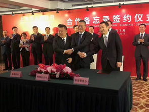 特斯拉上海超級工廠落地，年產50萬輛開啟中國新能源汽車新篇章