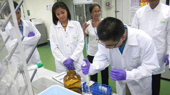 技術交流共促發展 國際水稻所深化合作助力全球糧食安全